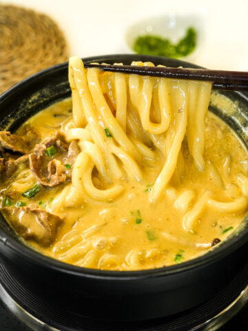 Milk Curry Udon Noodle Soup