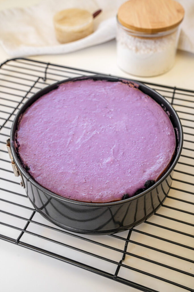 baking ube cheesecake with oreo crust