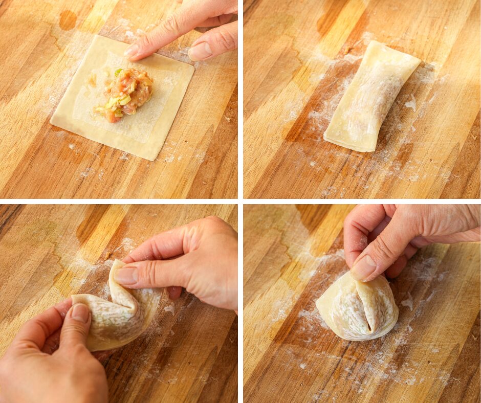 how to fold wontons golden money method