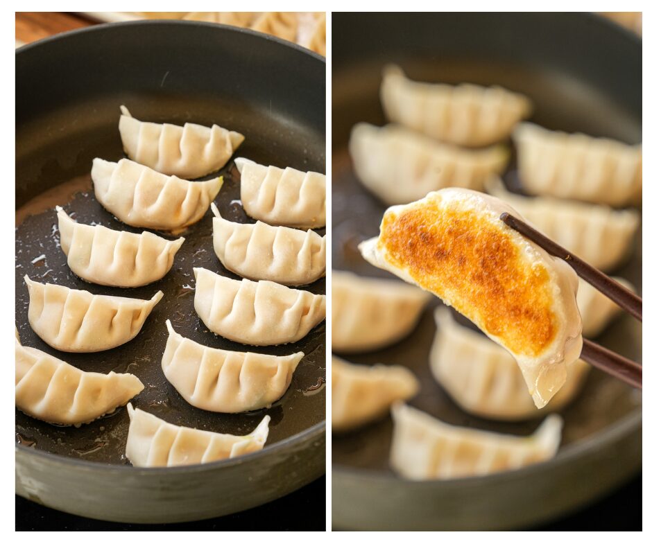 pan fry pork and cabbage dumplings until the bottom is browned