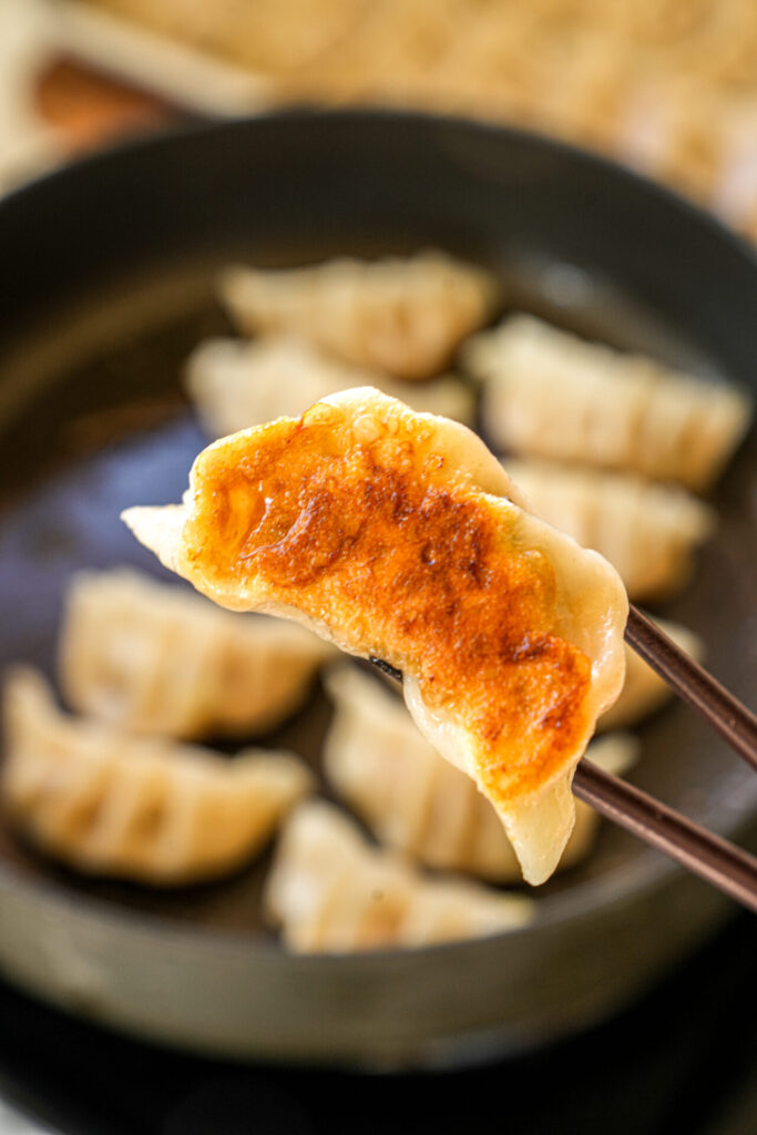 pan-fried pork and cabbage dumplings