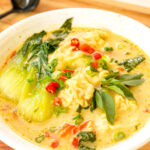 Thai Green Curry Wonton Soup