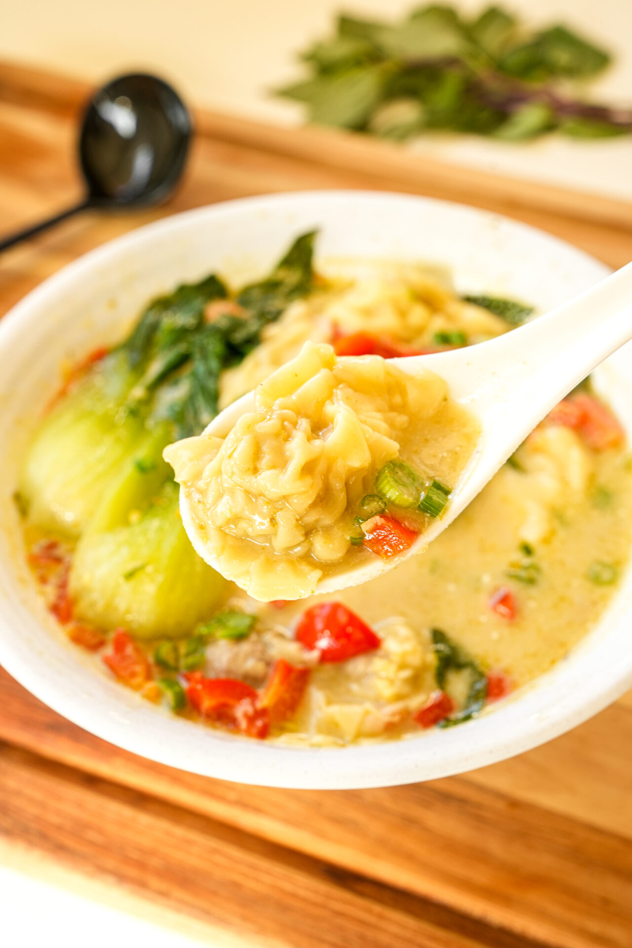 Thai Green Curry Wonton Soup