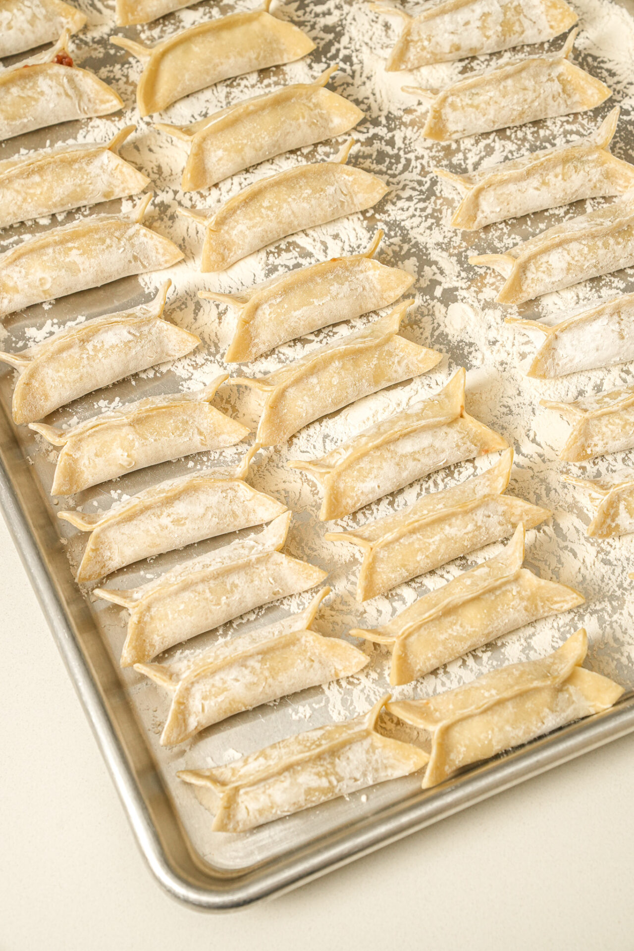 Crispy homemade pork and cabbage potstickers