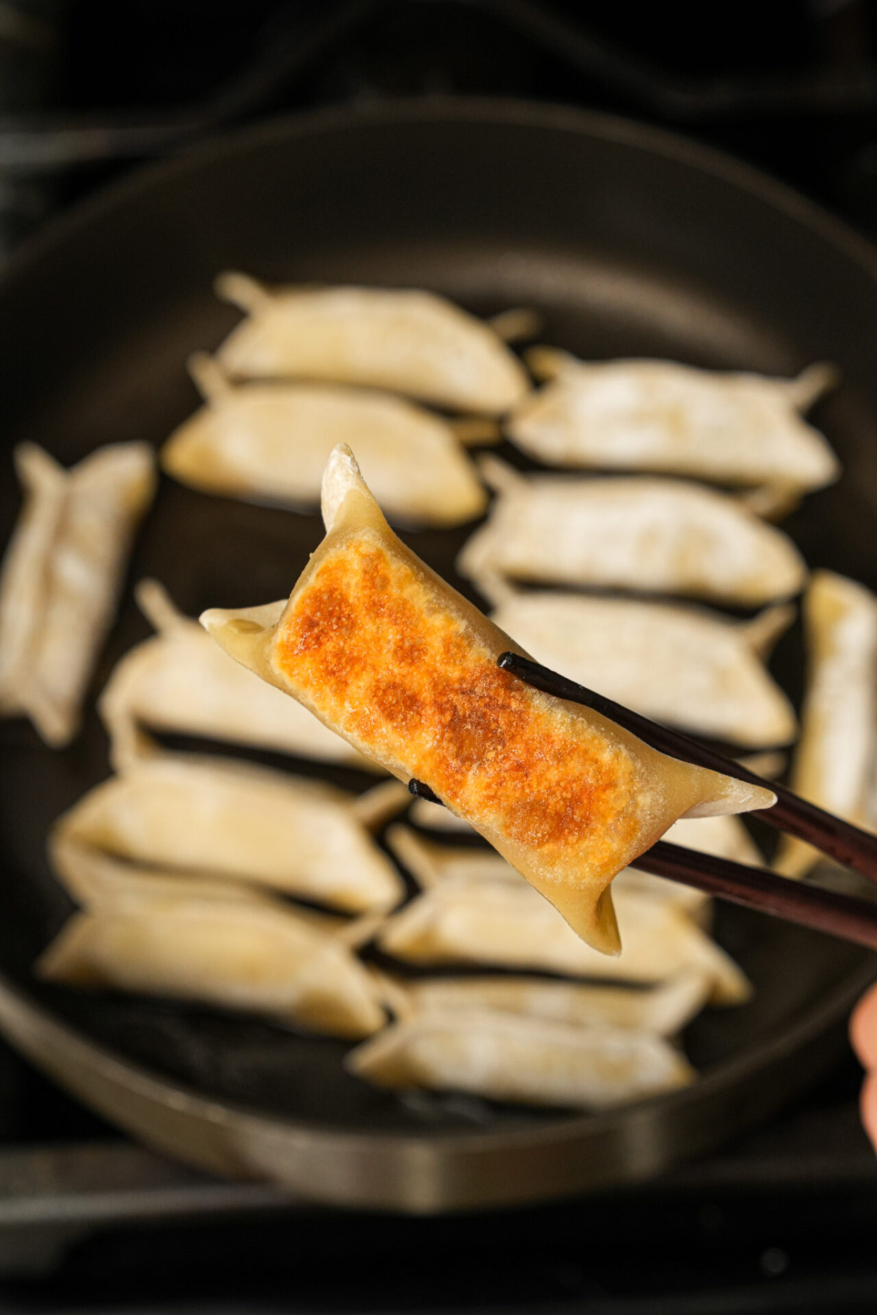 Crispy homemade pork and cabbage potstickers
