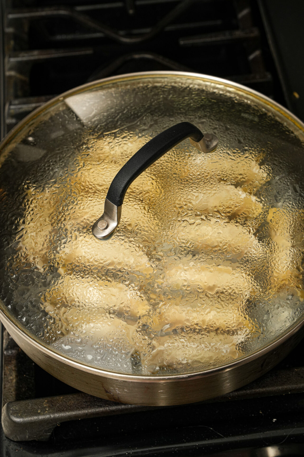 Crispy homemade pork and cabbage potstickers