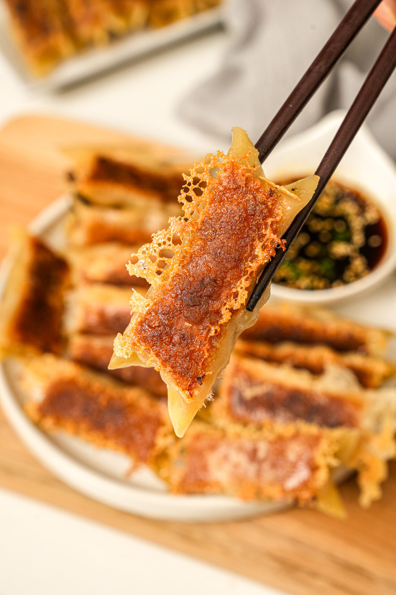 Crispy homemade pork and cabbage potstickers